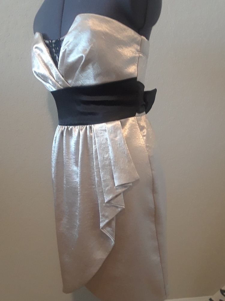 💕HP💕Champagne‎ Satin Dress - Picture 7 of 7